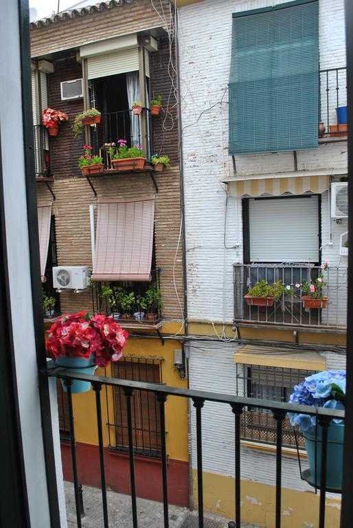 Triana Pelay Siviglia